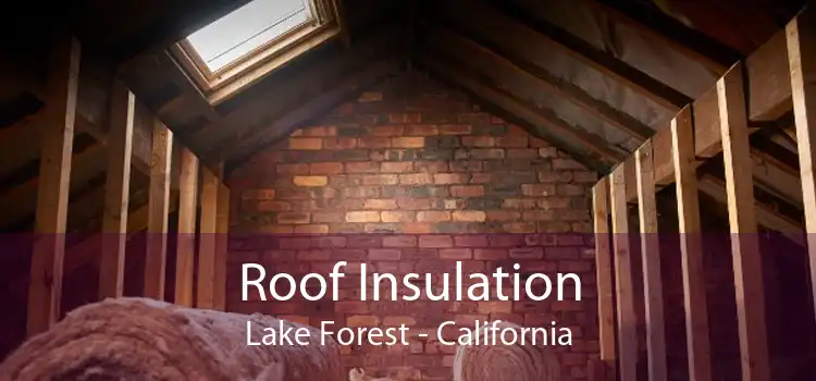 Roof Insulation Lake Forest - California