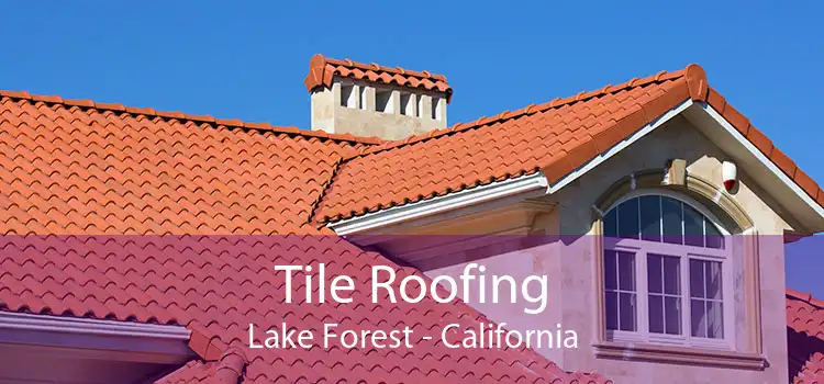 Tile Roofing Lake Forest - California