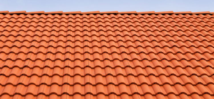 Concrete Clay Tile Roof Lake Forest