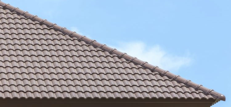 Concrete Ridge Tile Roofing Lake Forest