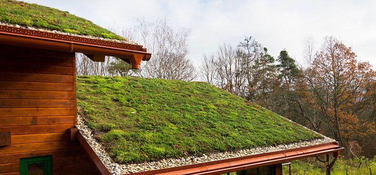 Lake Forest Residential Green Roof